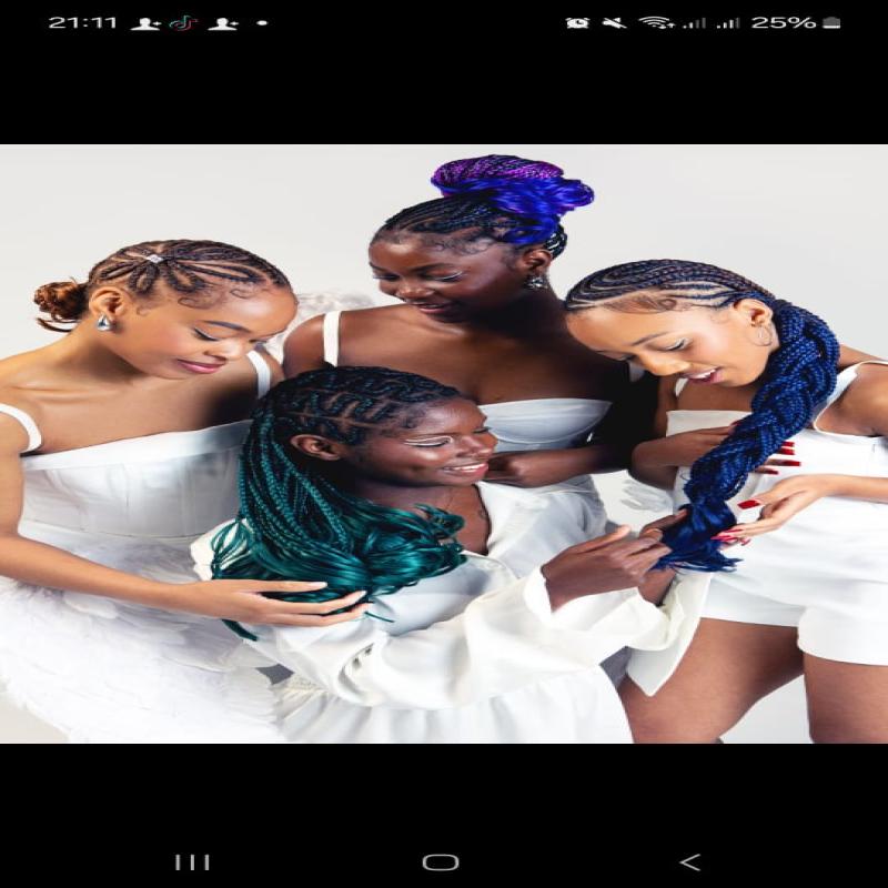 Hair Attachments - Image 4
